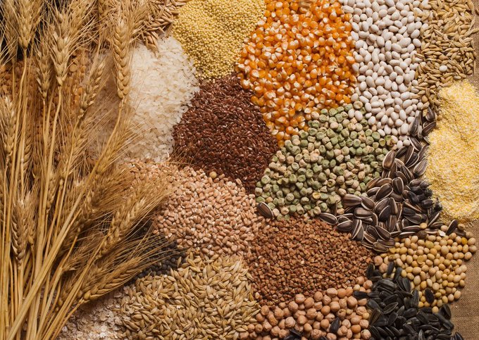 La production céréalière au Togo en hausse pour la campagne agricole 2022-2023