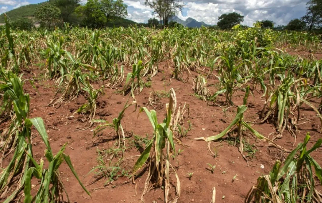 Togo : Mise à jour du Plan d’Adaptation Climatique