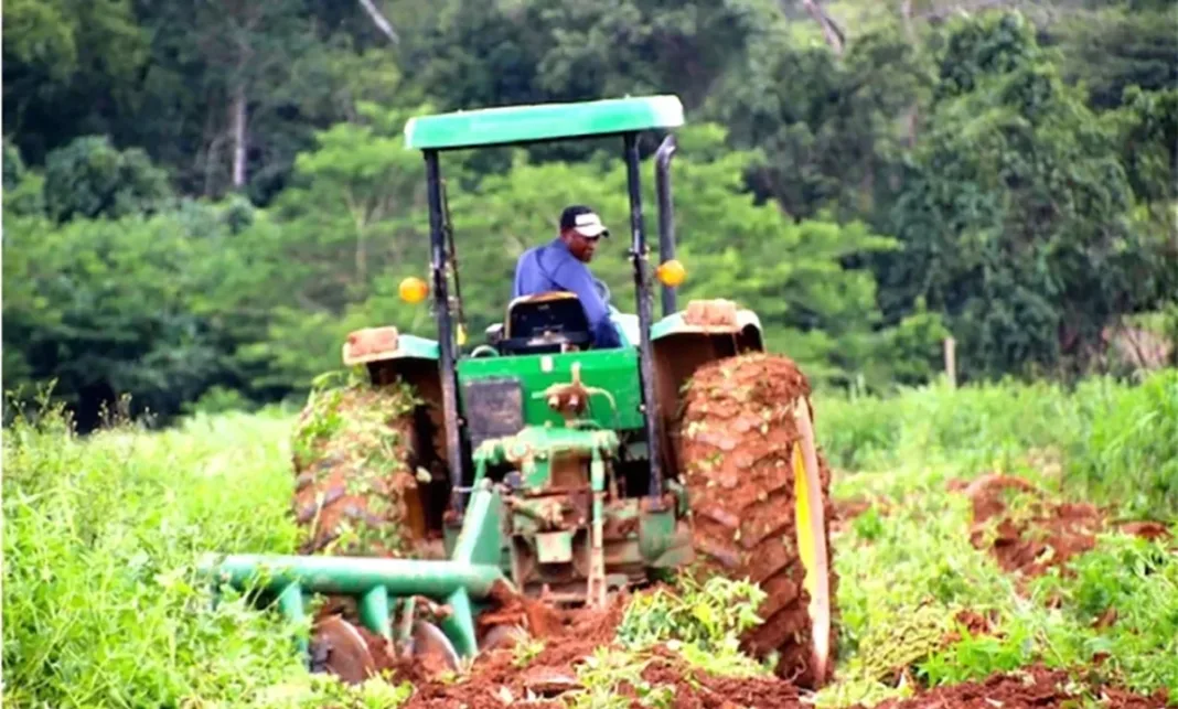Un centre de services et de formation agricole bientôt à Tindjassi