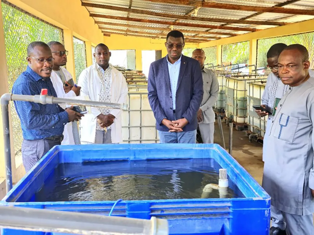 Aquaculture durable au Togo : le rôle clé de la recherche