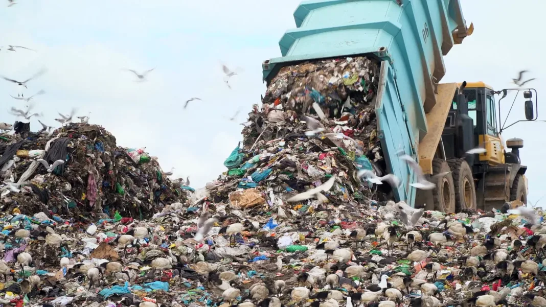 Formation Recyclage Déchets : Opportunité pour Jeunes Entrepreneurs